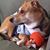 Katia Corea's profile image