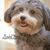Diane Rita OConnell's profile image