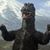 Kathy Hoerle's profile image