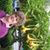 Vicki Hanna's profile image