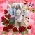 Rosa Vasquez's profile image