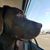 Mike Filous's profile image