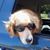 Patricia A Waggoner's profile image