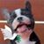 Joe Wirkus's profile image