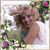 Shari Lane's profile image