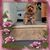 Janet L Harmon's profile image