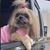 Kelley Easley Dotson's profile image
