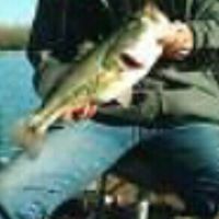 Jesse T. Stacy's profile image