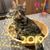 Bev Jones's profile image