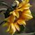 Sandi Wardell Christiansen's profile image