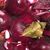 Traci S McIlwain's profile image
