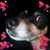 Pamela Jo Webb's profile image
