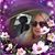 Annmarie Piane Clemens's profile image