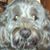 Lorraine Grecco's profile image