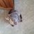Tracy Pudlo's profile image