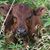 Tammy Miller-Kutsch's profile image
