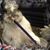 Jimmy Wabbit Zee's profile image