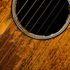 Madison F.'s profile image