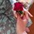 Cherie Wason McNitt's profile image
