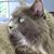 Alice Bennett-Moran Bill Moran's profile image