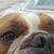 Alexander Lowe's profile image