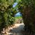 Mary Cabrey Calabrese's profile image