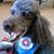 Sonja Twitchell's profile image