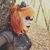Tatiana Fawkes's profile image