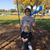 Bernidean Zulauf Mason's profile image