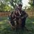 Bryce Hammann's profile image