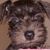 Jennifer Blanton's profile image