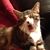 Kristin Carter Barrios's profile image