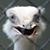 Santhosh Kamath's profile image