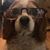 Patrick Murphy's profile image