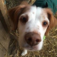 Debbie Clark's profile image