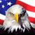 David Chappy Snyder's profile image