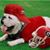 Jimmie Meeks's profile image