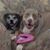 Rita Badie Ceresini's profile image