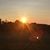 Susan Farmer Strickland's profile image