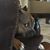 Paula Michaud's profile image