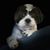 Sue Tully Berger's profile image
