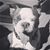 Jennifer Elmore's profile image