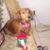 Janet Marks Speckmeier's profile image