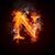 Nadia Birindelli's profile image