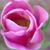 Mandy McGhee Bailey's profile image