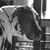 Joni Fox's profile image