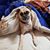 KimberlyandRandy Lerch's profile image