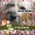 Rhonda Bast's profile image