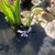 Shirley Hanson's profile image