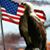 John Sagar's profile image